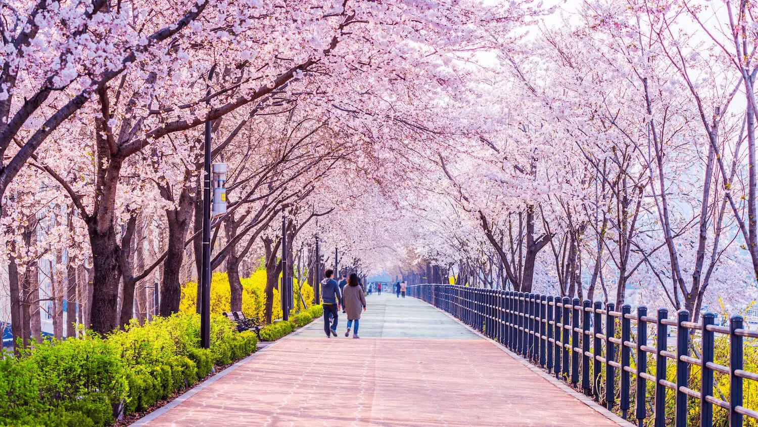 Nha Trang (CXR) to Seoul (Incheon) (ICN)