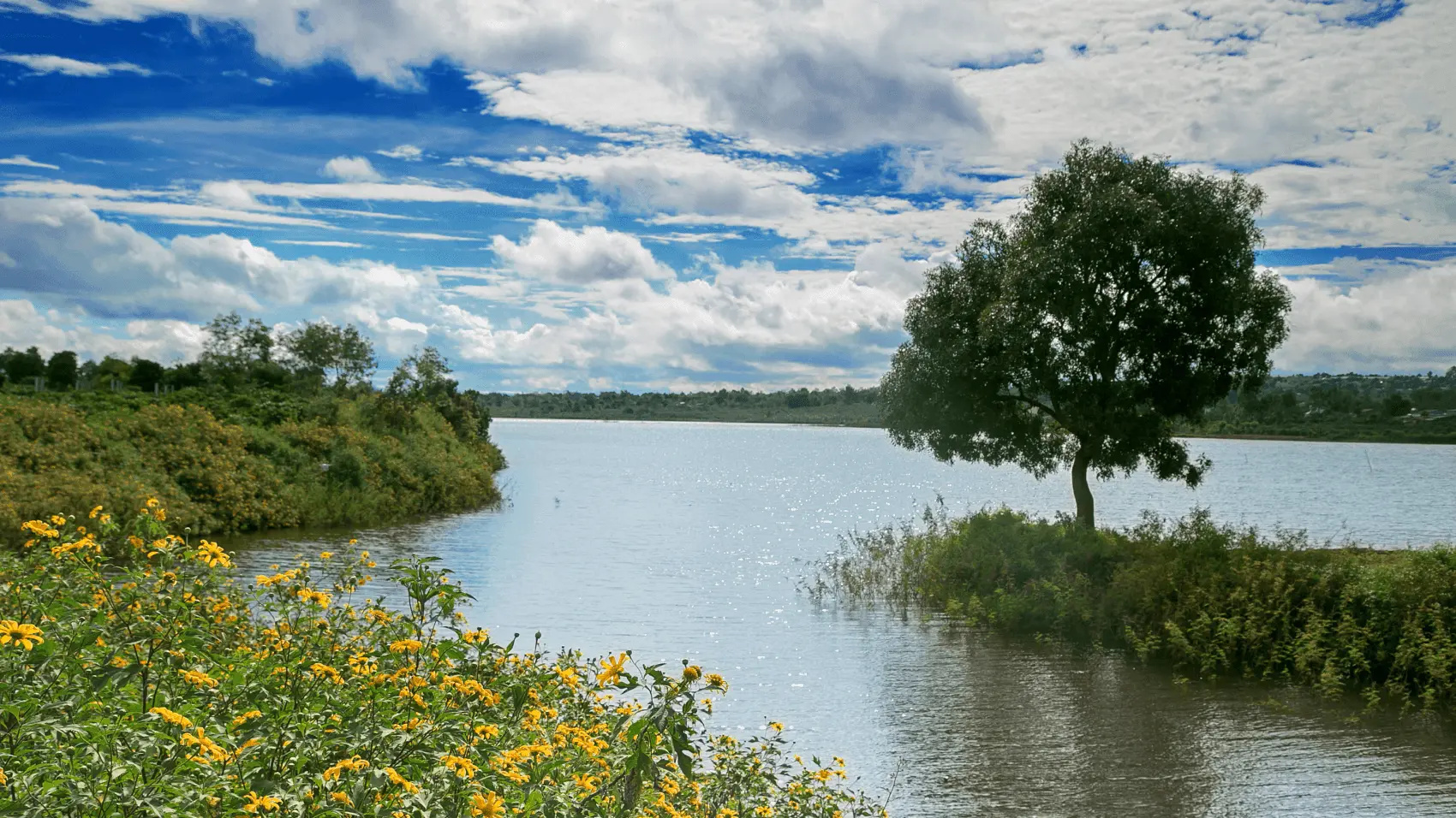 Ho Chi Minh (SGN) to Pleiku (PXU)