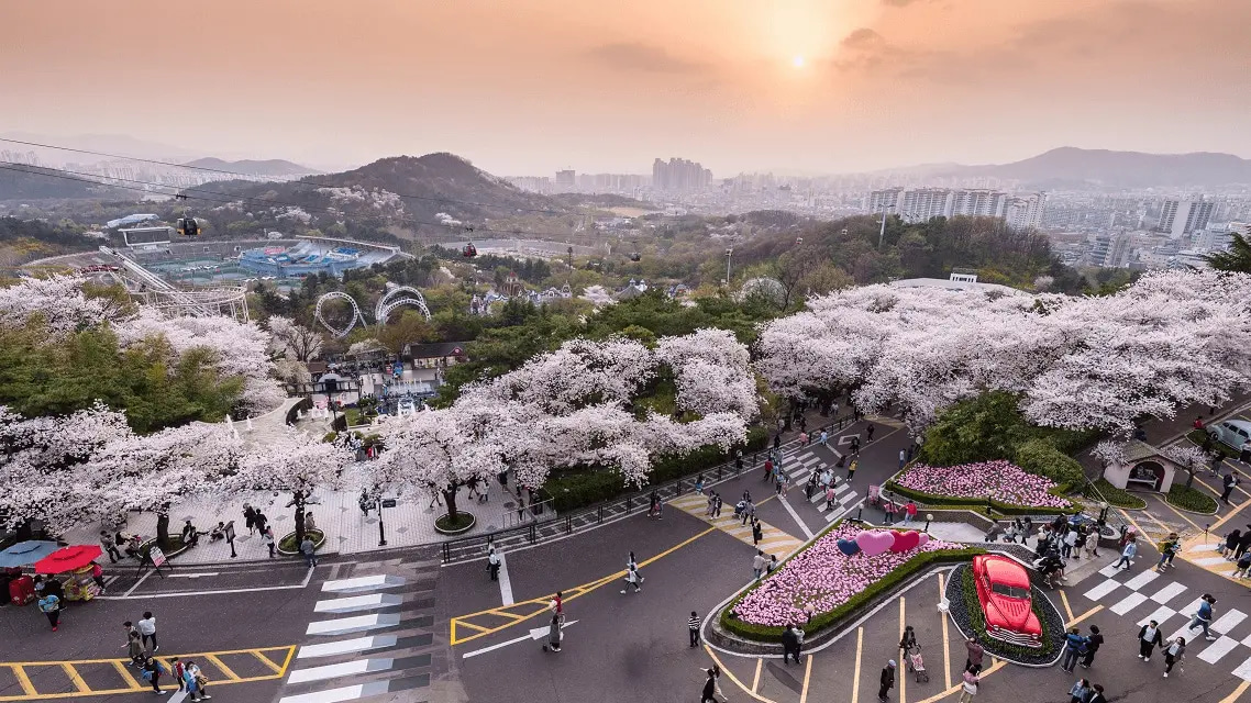 Nha Trang (CXR) to Daegu (TAE)