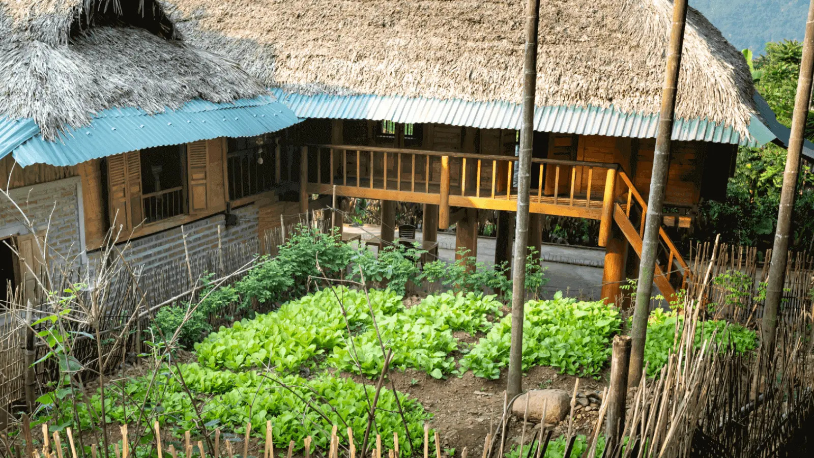 Đà Lạt (DLI) to Thanh Hoá (THD)