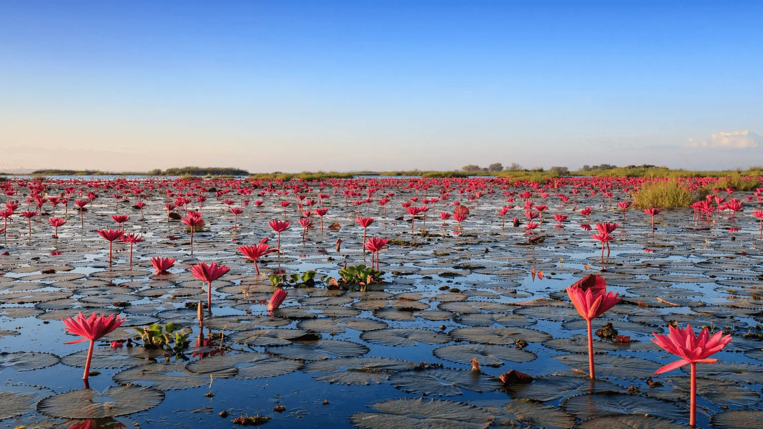 BangKok (BKK) to Udon Thani (UTH)